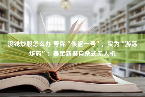 没钱炒股怎么办 号称“侠盗一号”，实为“游荡炸药”：美军新推自杀式无人机