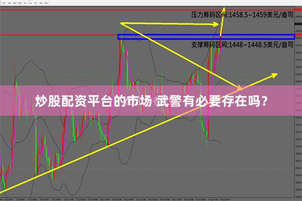 炒股配资平台的市场 武警有必要存在吗？