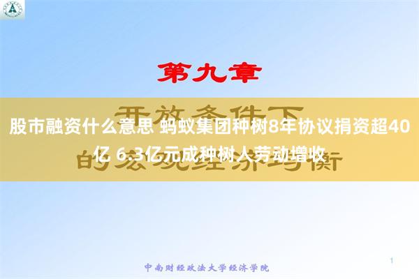 股市融资什么意思 蚂蚁集团种树8年协议捐资超40亿 6.3亿元成种树人劳动增收